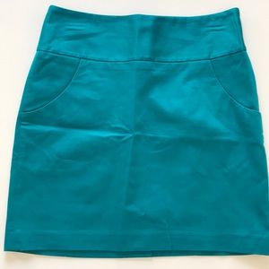 The Limited Skirt  - Size 2. Only wore once.